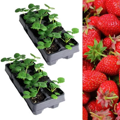 diy-4202606031320512263224