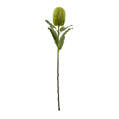 diy-4202606032321342547764