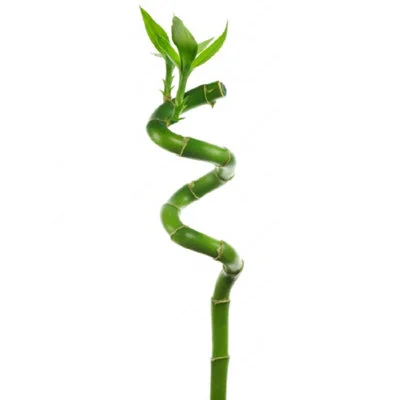 diy-4202606040341582610897