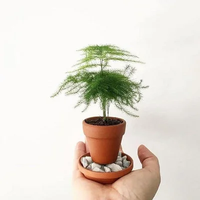 diy-4202606051144182958865