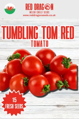 diy-4202606051953303001204