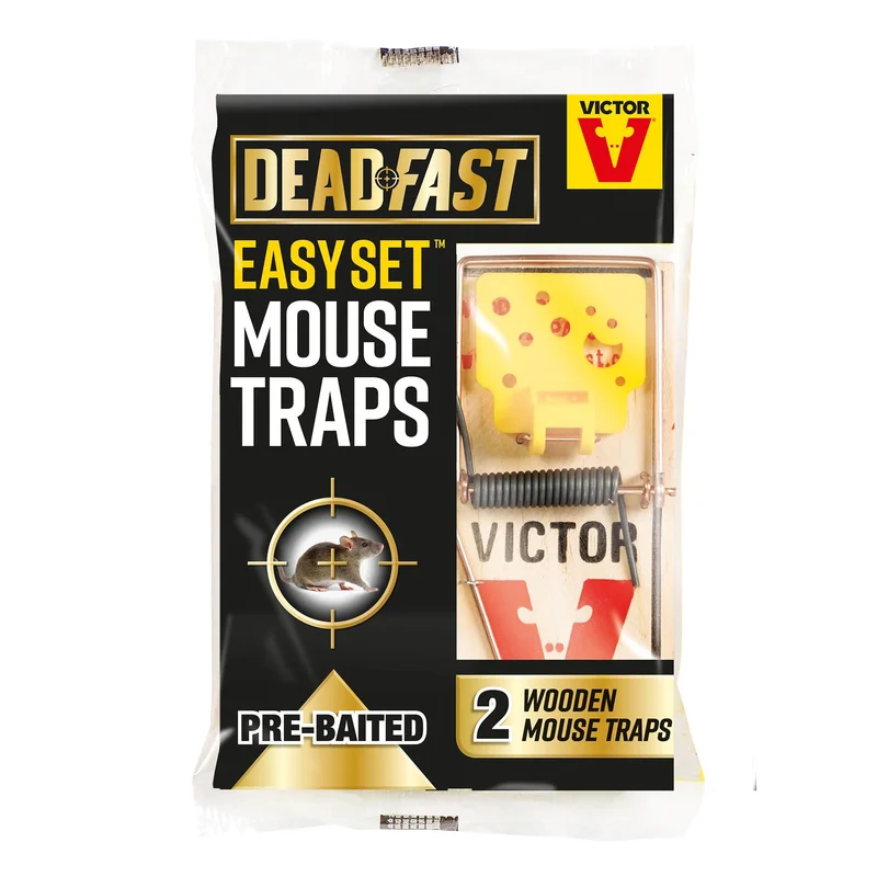trade-point202606040346432611648